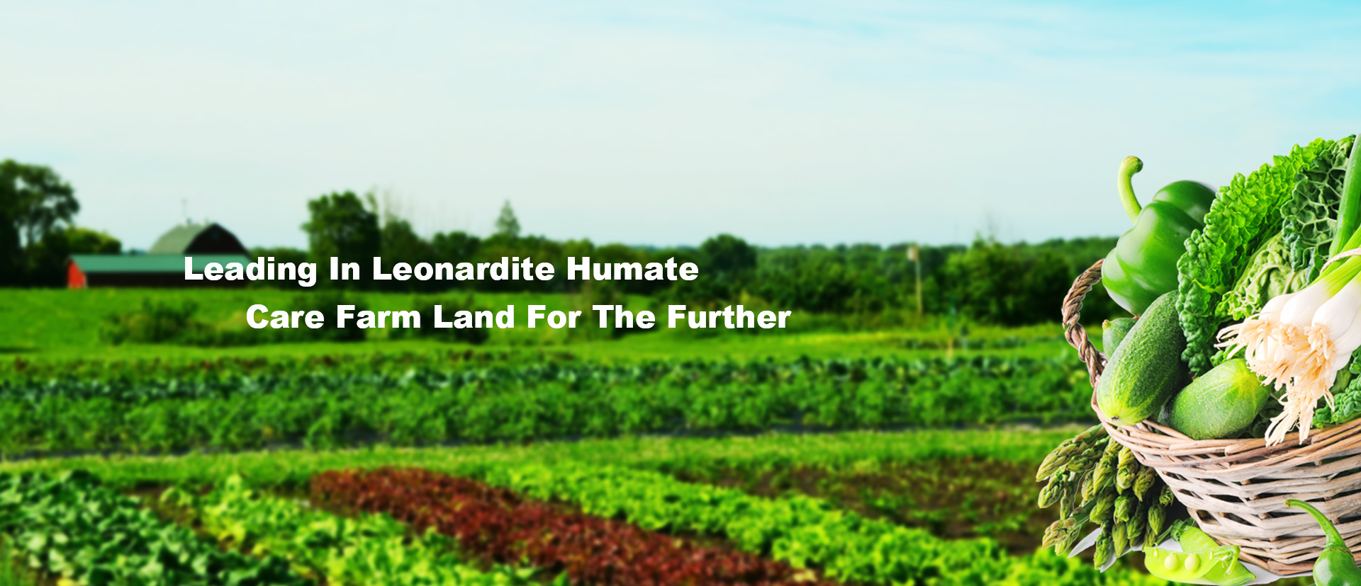 حمض الدبالية