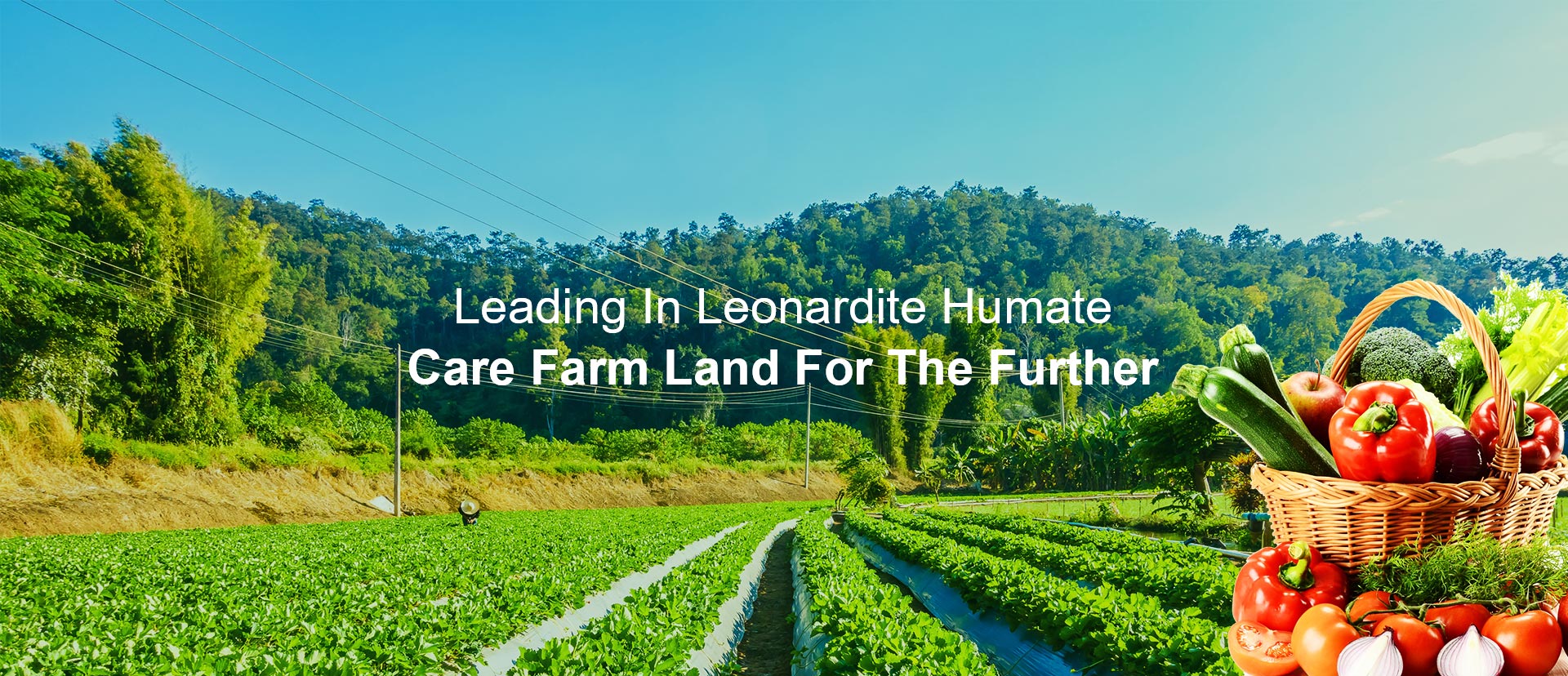 هيومات الصوديوم