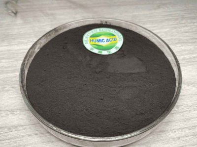 حمض الفولفيك في النباتات