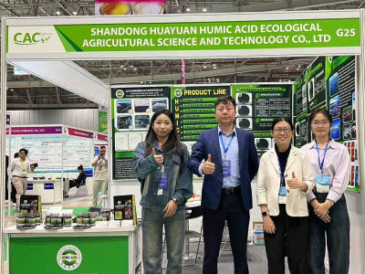 كاك فيتنام 2024