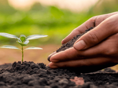 التأثير التحسيني لحمض الهيوميك على التربة – التأثير الفيزيائي