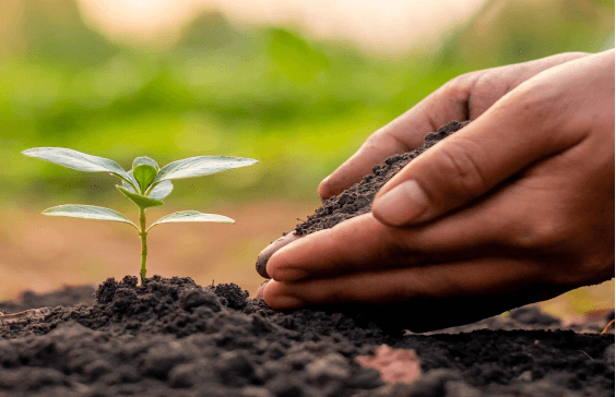 تأثير حمض الهيوميك في تحسين التربة -physic Effect.jpg