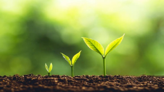 تأثير حمض الهيوميك في تحسين التربة -physic Effect.jpg