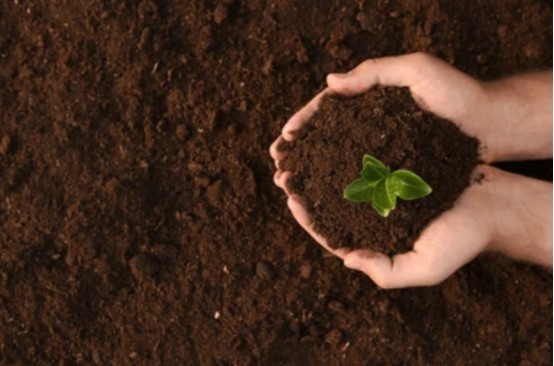 تأثير حمض الهيوميك على التربة - التأثير الكيميائي.jpg