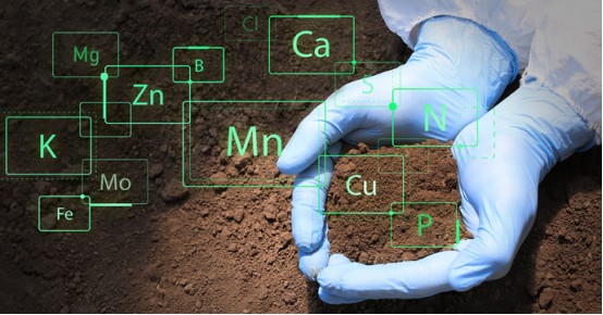 تأثير حمض الهيوميك على التربة - التأثير الكيميائي.jpg