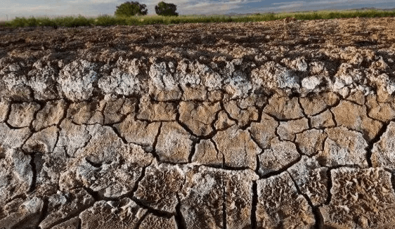 الأراضي المالحة والقلوية.jpg