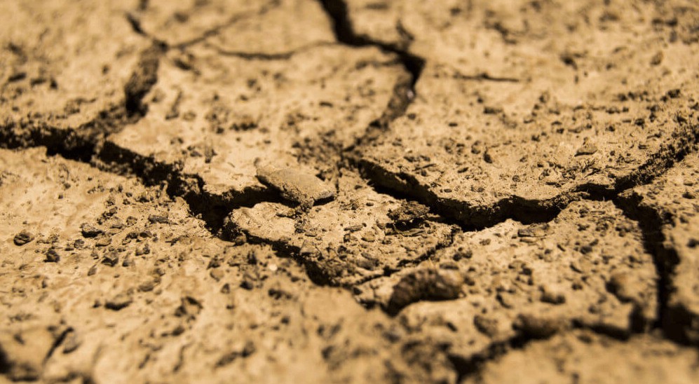 التربة المحمضة.jpg