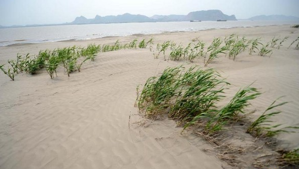 التربة المتصحرة.jpg