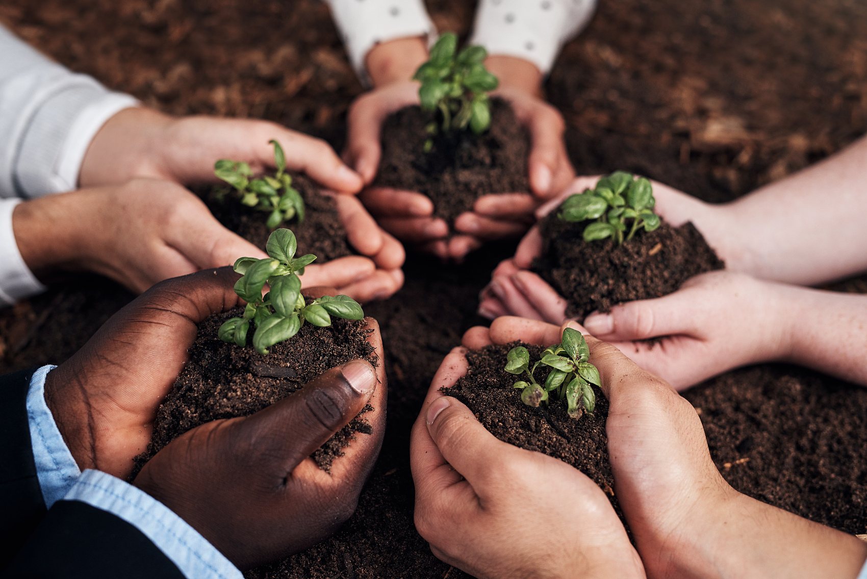 الوظائف الثمانية والتأثيرات الخمسة لحمض الفولفيك المصدر المعدني.jpg