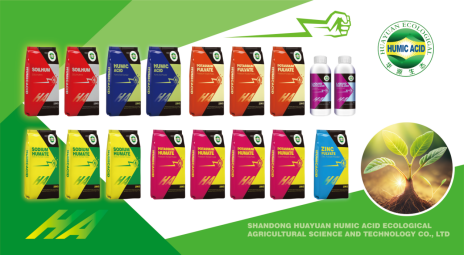 HuaYuan تصدير التغليف.jpg