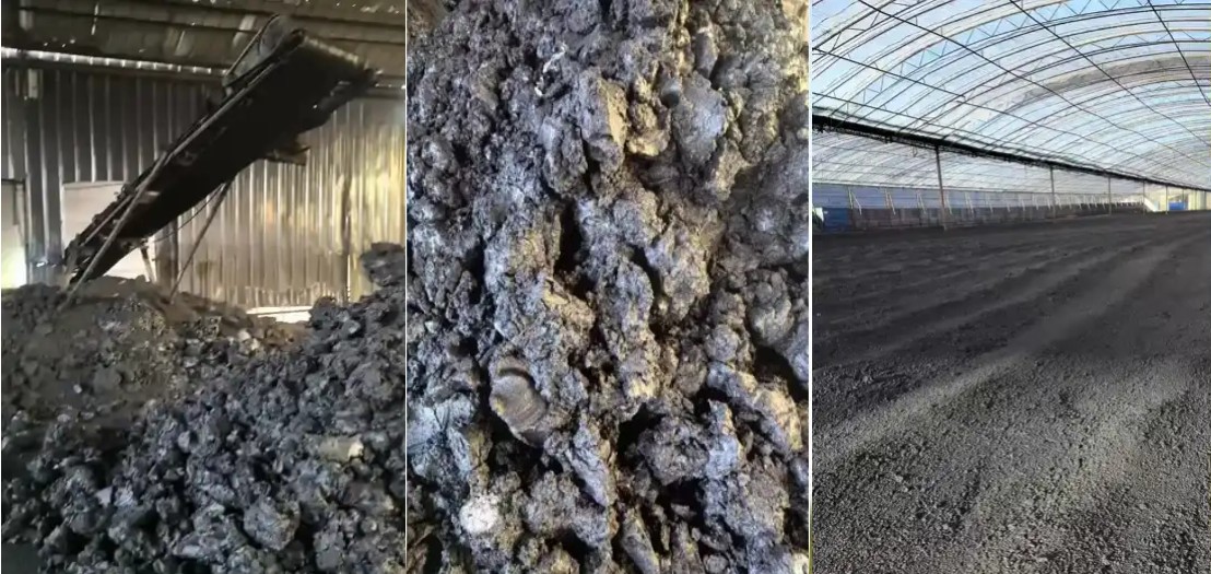 عملية الإنتاج.jpg