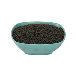 أفضل الأسمدة الحبيبية لحمض الهيوميك للعشب الأخضر.jpg