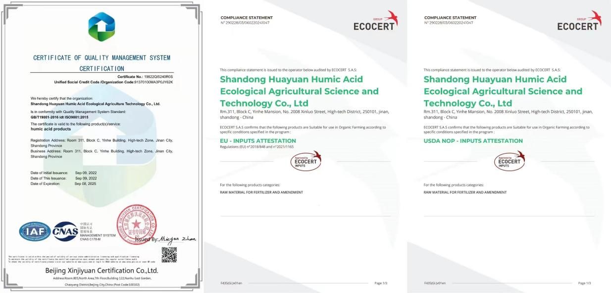 حمض الهيوميك عالي الجودة مع سلامة Delivery.jpg