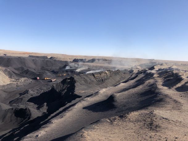 تطبيق Humate الصوديوم في الزراعة. jpg